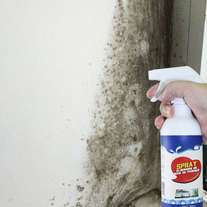 Hochwirksames Schimmelentfernungsspray - Verhindert erneutes Schimmelwachstum🦠