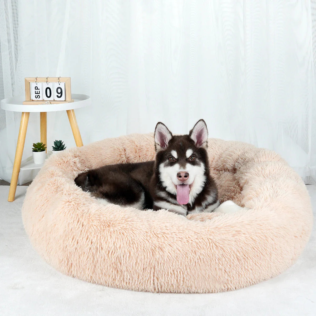 The Ultimate Comfort Haven for Your Dog