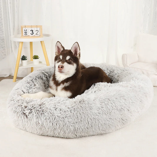 The Ultimate Comfort Haven for Your Dog