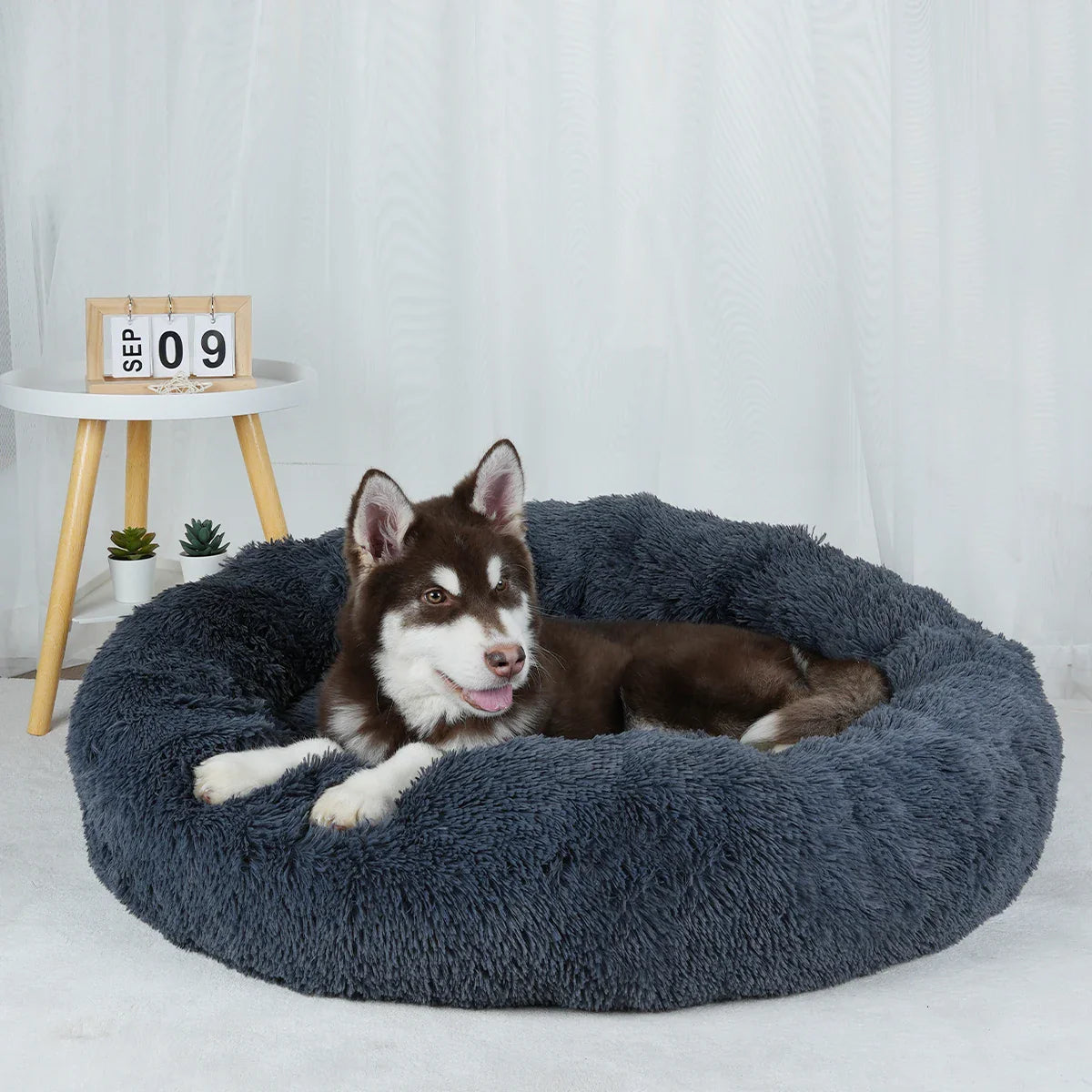 The Ultimate Comfort Haven for Your Dog